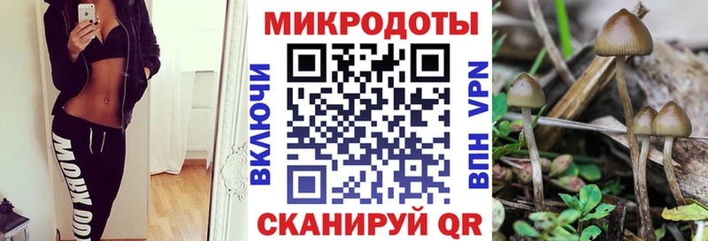 ссылка на мегу ONION  Темников  Галлюциногенные грибы мухоморы  магазин продажи  
